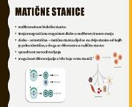 Cell therapy PowerPoint Presentation