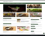 Alternative Medicine PowerPoint Presentation