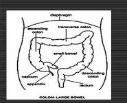 Physiotherapy in general surgical conditions PowerPoint Presentation