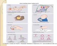 Developmental and Behavioral pediatrics PowerPoint Presentation