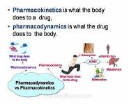 Pediatrics pharmacology PowerPoint Presentation