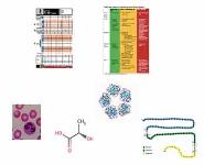 Paediatric Sepsis Screening in the Emergency Department PowerPoint Presentation