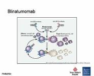 Leukemia-Past Present and the Future PowerPoint Presentation
