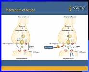 The Diagnosis and Treatment of ADHD PowerPoint Presentation