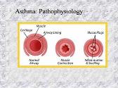 Pediatrics - Respiratory Emergencies