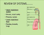 Approaches to Common Pediatric Disease and Injury PowerPoint Presentation