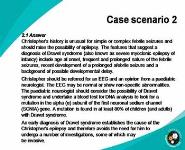 The epilepsies PowerPoint Presentation