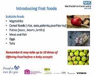 Introducing your baby to Solid food PowerPoint Presentation