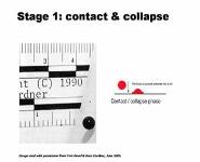 Forensic Investigations-Bloodstain pattern analysis PowerPoint Presentation Notes