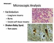 Forensic Pathology PowerPoint Presentation