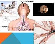 Cytopathology PowerPoint Presentation