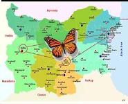 Comparative Analysis of 3 International Software Solutions For Rheumatoid Diseases PowerPoint Presentation