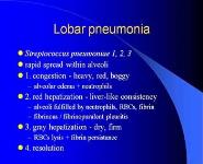 Pathology of lung, pleura and upper airways PowerPoint Presentation