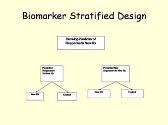 Novel Clinical Trial Designs for Oncology
