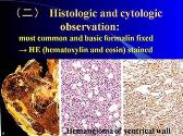 Introduction to Pathology