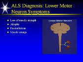 Motor Neuron Diseases