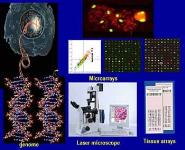 The Power of Molecular Biological Techniques PowerPoint Presentation