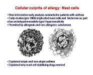 Mechanisms of Allergic Immunity PowerPoint Presentation