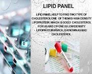 PATHOLOGY LABORATORY PowerPoint Presentation