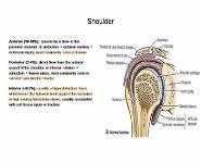 Orthopedic Emergencies PowerPoint Presentation