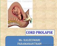 cord prolapse PowerPoint Presentation Notes