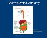 Gastrointestinal and Genitourinary Trauma PowerPoint Presentation