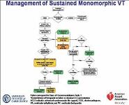 Management of Patients With Ventricular Arrhythmias and Prevention of Sudden Cardiac Death PowerPoint Presentation