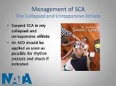 Sudden Cardiac Arrest in Intercollegiate Athletics