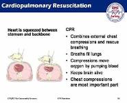 EMS Safety CPR-AED Training PowerPoint Presentation