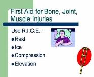 Key Principles of Basic Life Support for Adults PowerPoint Presentation