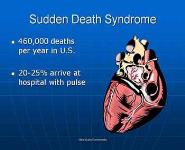 A Proposal to Make Your City the Best Place in the World to be if you have a Sudden Cardiac Arrest PowerPoint Presentation