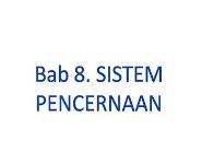 Sistem Pencernaan PowerPoint Presentation