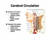 ACUTE STROKE CARE FOR THE EMS PROVIDER PowerPoint Presentation