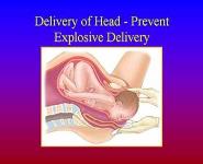 Obstetrics and Gynecological Emergencies PowerPoint Presentation