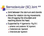 Shoulder Joint-Anatomy PowerPoint Presentation