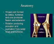Elbow Injuries PowerPoint Presentation
