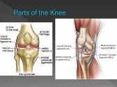 Knee Injuries