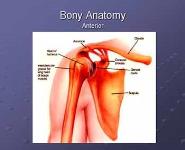 Shoulder Problem Evaluation PowerPoint Presentation