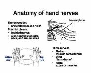 Repetitive Strain Injury PowerPoint Presentation