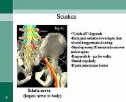 Back Safety PowerPoint Presentation