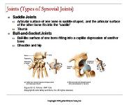 Joints PowerPoint Presentation
