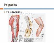 The Examination of the Knee PowerPoint Presentation