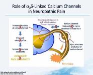 Goals of treatment in managing cancer-related pain PowerPoint Presentation