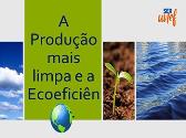 A Producao mais limpa e a Ecoeficiencia