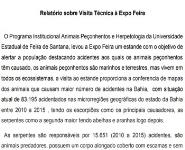 Relatorio Sobre Visita Tecnica a Expo Feira Medical Notes