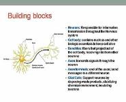 An overview of Basic Neuroscience PowerPoint Presentation