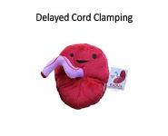 Advances in Neonatal Care PowerPoint Presentation