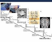 An Introduction to Transcranial Magnetic Stimulation in the Veterans Administration PowerPoint Presentation