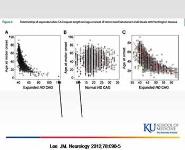 When does Huntingtons Disease Begin PowerPoint Presentation Notes