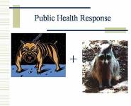 Rabies and Public Health PowerPoint Presentation